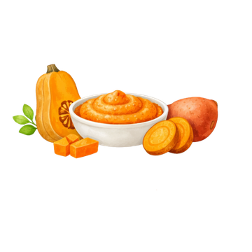 6+ Months First Tastes